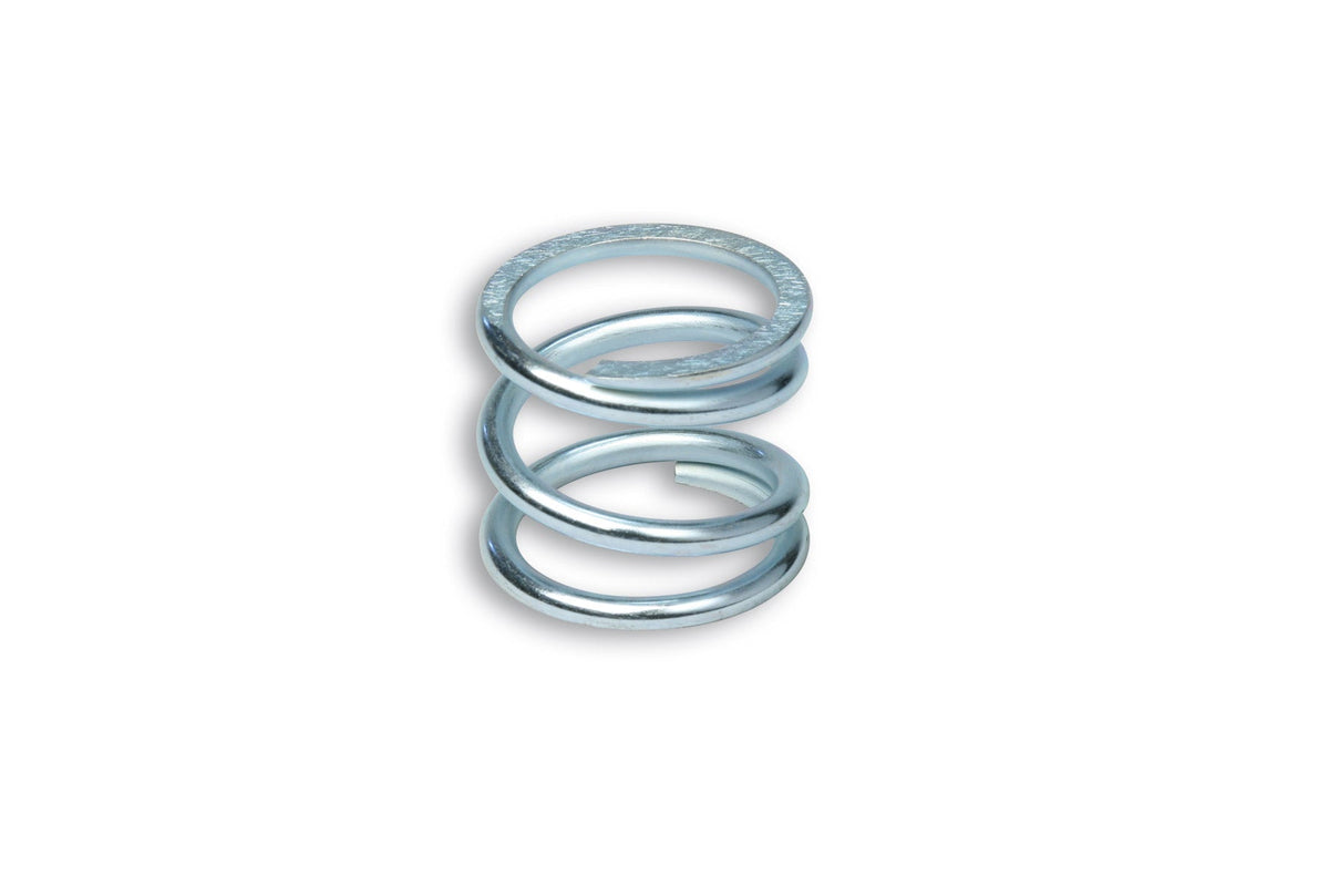 vespa-malossi-clutch-spring-sf